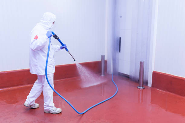 Best Pool Deck Cleaning  in Centre Grove, NJ